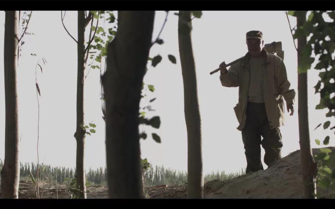 今晚劉伯溫四不像一肖圖，揭秘神秘預(yù)測背后的故事，揭秘劉伯溫四不像一肖圖的神秘預(yù)測故事