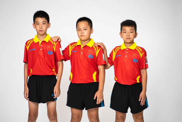 王中王白小姐四肖選一，揭秘背后的秘密與策略，揭秘王中王白小姐四肖選一背后的秘密與策略之道