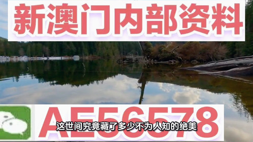 澳門(mén)精準(zhǔn)特肖，探索未來(lái)趨勢(shì)與機(jī)遇（SEO優(yōu)化文章），澳門(mén)精準(zhǔn)特肖，未來(lái)趨勢(shì)與機(jī)遇的探索（SEO優(yōu)化標(biāo)題）