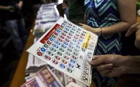 香港王中王開獎結(jié)果查詢，今晚開獎盛況一覽，香港王中王開獎結(jié)果查詢，今晚盛況揭曉，最新開獎信息一覽