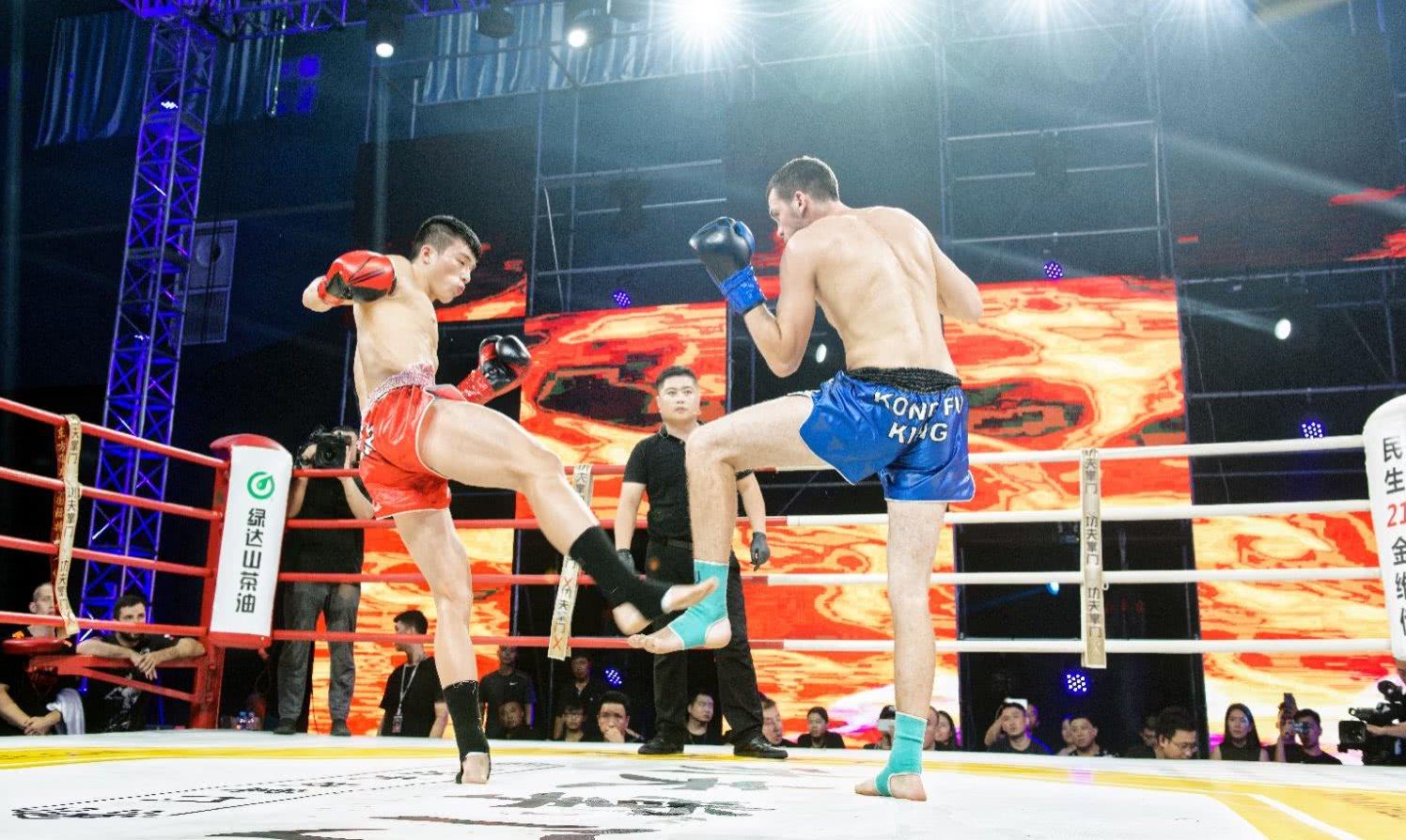 王中王欲錢一句猜一肖——探尋生肖之謎，王中王欲錢揭秘生肖之謎，探尋生肖的奧秘