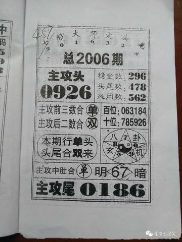 王中王四馬一肖，探尋背后的故事與奧秘，王中王四馬一肖，背后的故事與奧秘探尋