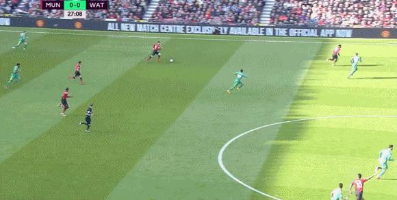 精準一肖，揭秘免費預測背后的秘密，揭秘精準預測生肖背后的秘密，免費預測背后的真相探索