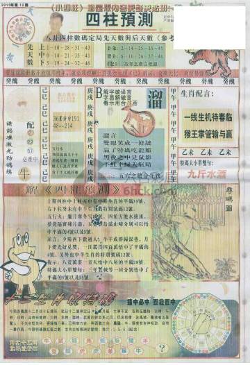 王中王動(dòng)物一肖圖，深度解析與SEO優(yōu)化，王中王動(dòng)物一肖圖深度解析與SEO優(yōu)化策略探討