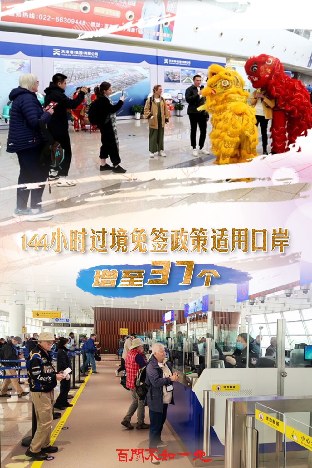 澳門王中王，揭秘一肖一特一中奧秘，澳門王中王揭秘生肖秘密，一肖一特一中奧秘探秘