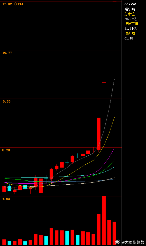 關(guān)于股票002790的全面解析，股票002790全方位深度解析