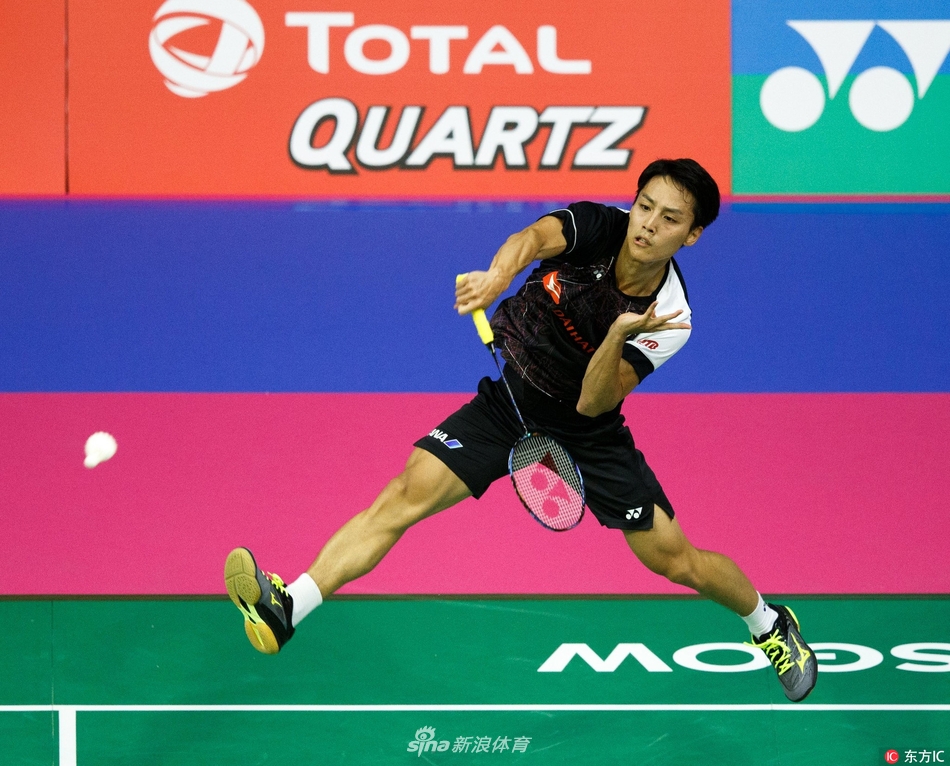 一肖平碼王中王，揭秘背后的秘密與策略，揭秘一肖平碼王中王的秘密與策略