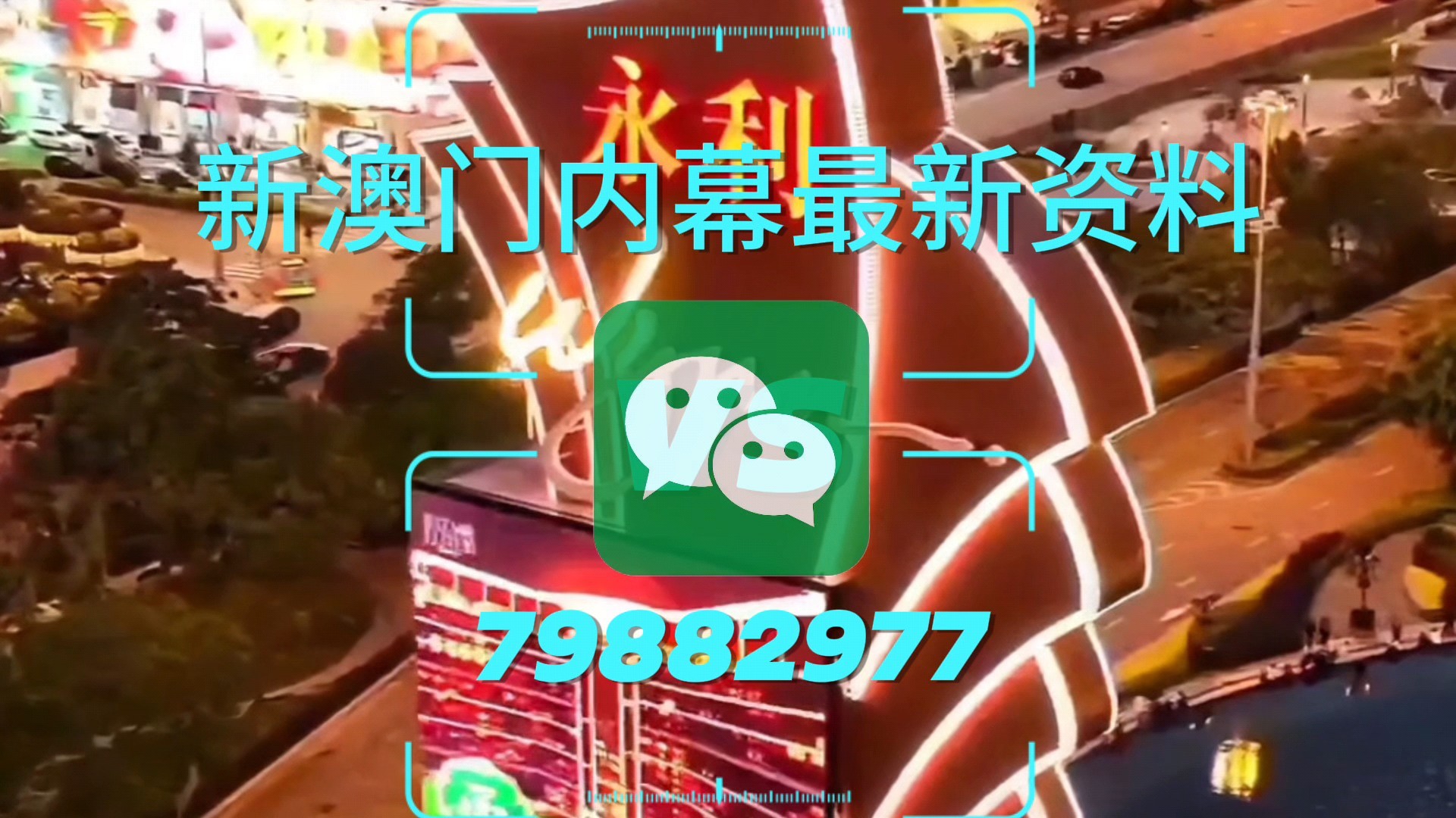 王中王內(nèi)部推薦一肖中特，深度解析與獨(dú)特視角，王中王內(nèi)部推薦揭秘，一肖中特深度解析與獨(dú)特視角探索