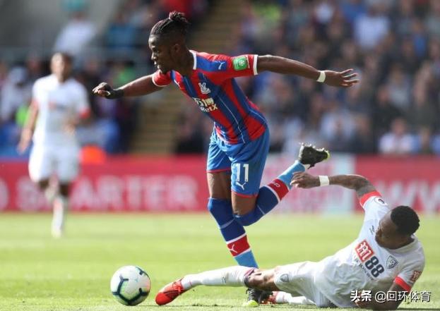 王中王118一肖中特，揭秘精準(zhǔn)預(yù)測的秘密，揭秘王中王118精準(zhǔn)預(yù)測一肖中的秘密