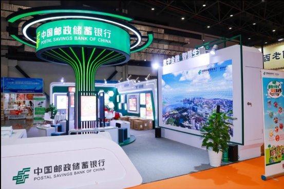 新澳2025今晚開獎資料詳解，新澳2025今晚開獎資料全面解析