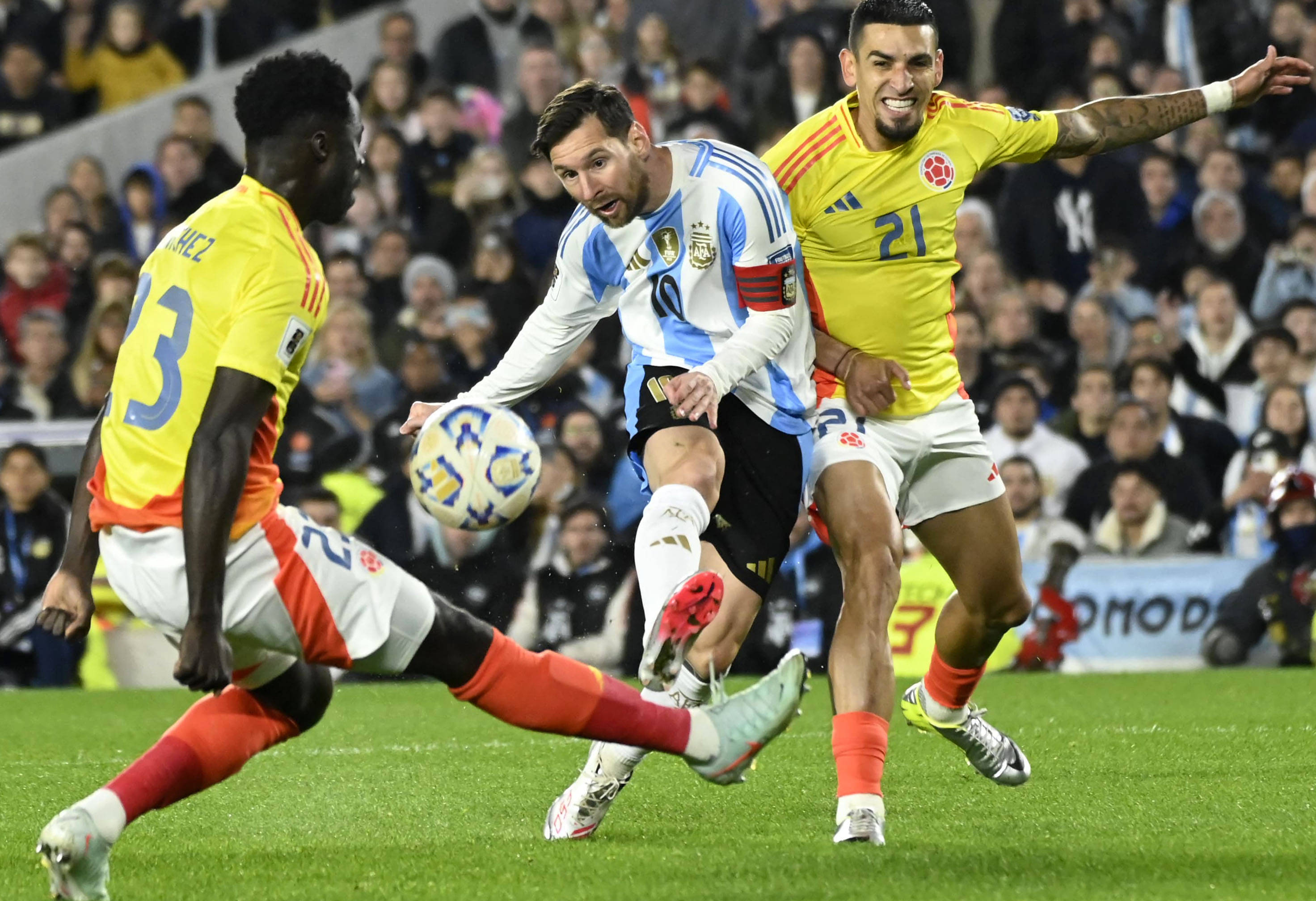 王中王一肖，揭秘碼一特一中的奧秘，揭秘王中王一肖特一中奧秘的真相