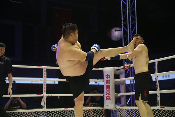 特特馬王中王一碼一肖，揭秘背后的秘密與探索SEO優(yōu)化策略，特特馬王中王一碼一肖，揭秘背后的秘密與SEO優(yōu)化策略探索