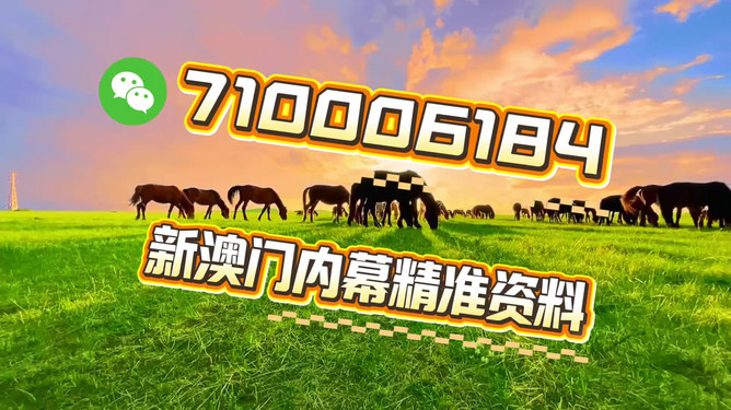 澳門今晚必開一肖一特，探索生肖與特碼預(yù)測的背后秘密，揭秘澳門今晚生肖與特碼預(yù)測背后的秘密