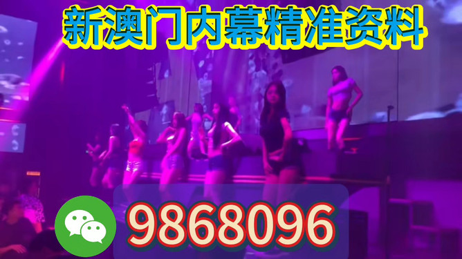 新澳門今晚開特馬，探索澳門博彩文化背后的秘密，澳門博彩文化揭秘，探尋特馬背后的秘密