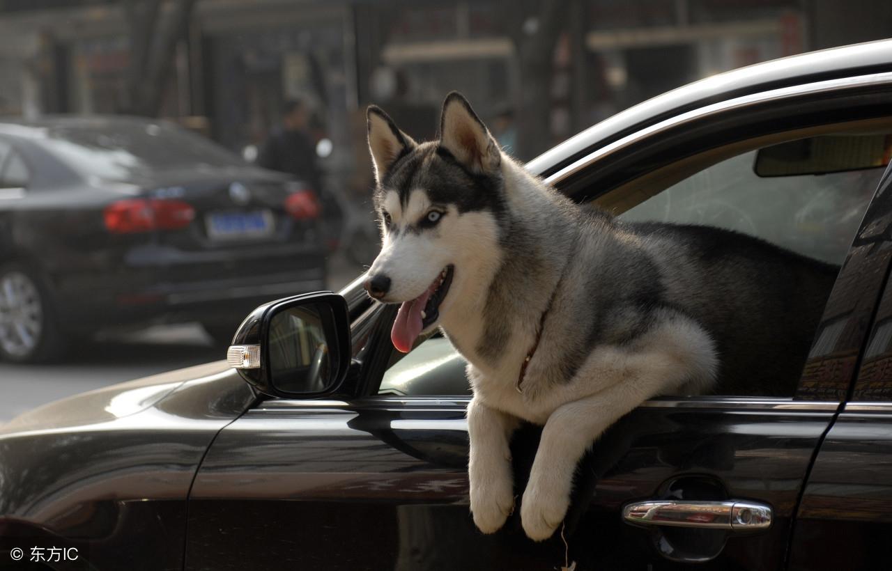 今晚九點三十分特馬開彩盛宴，揭秘彩票背后的秘密！，揭秘彩票背后的秘密，今晚九點三十分特馬開彩盛宴！