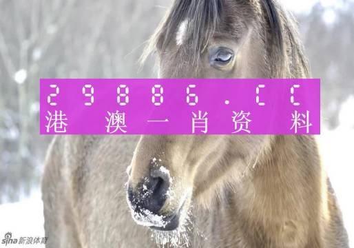 澳門一肖一碼100%準(zhǔn)確預(yù)測——揭秘彩票神秘面紗，澳門彩票預(yù)測揭秘，一肖一碼百分百準(zhǔn)確預(yù)測神秘面紗下的幸運(yùn)數(shù)字