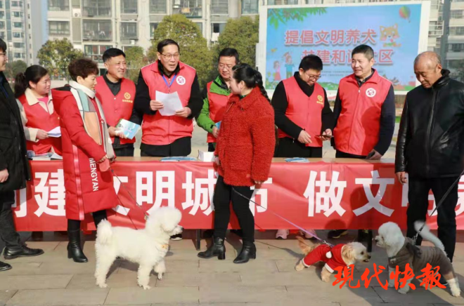 急先鋒澳門六肖，深度解析與探索，澳門六肖急先鋒，深度解析與探索