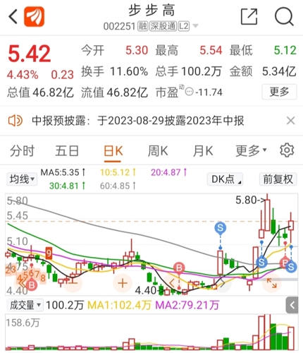 關(guān)于股票代碼002251步步高股票行情的全面解析，股票代碼002251步步高股票行情深度解析