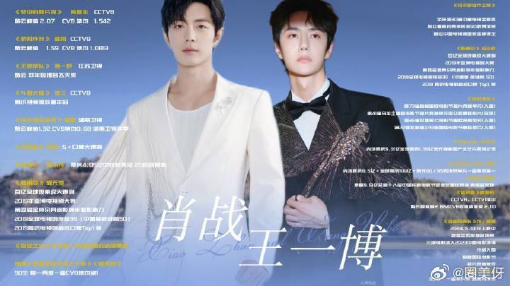 王中王一肖資料詳解，王中王一肖資料大全解析