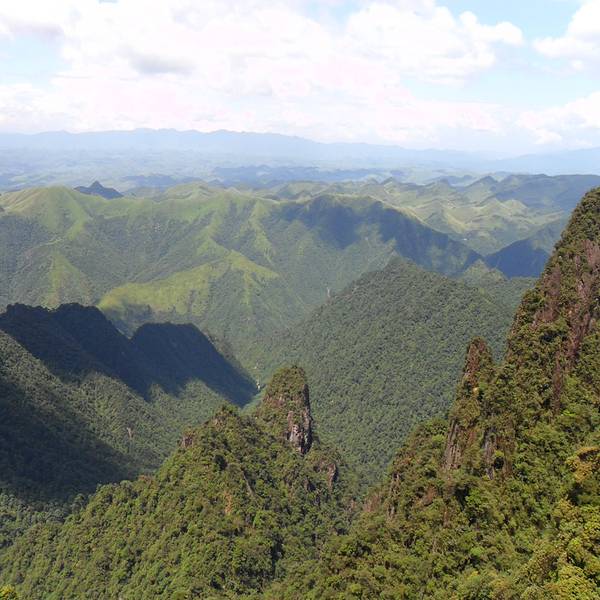莽山國(guó)家森林公園門票指南，探索自然之美的通行證，莽山國(guó)家森林公園門票指南，探索自然之美的通行證攻略
