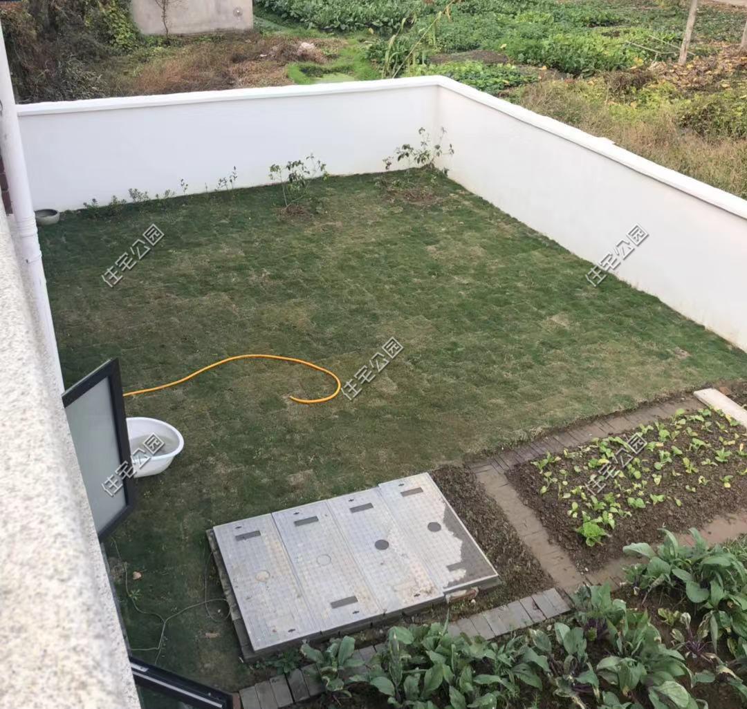 一肖中2碼，揭秘彩票背后的秘密與策略，揭秘彩票背后的策略與秘密，一肖中兩碼解析