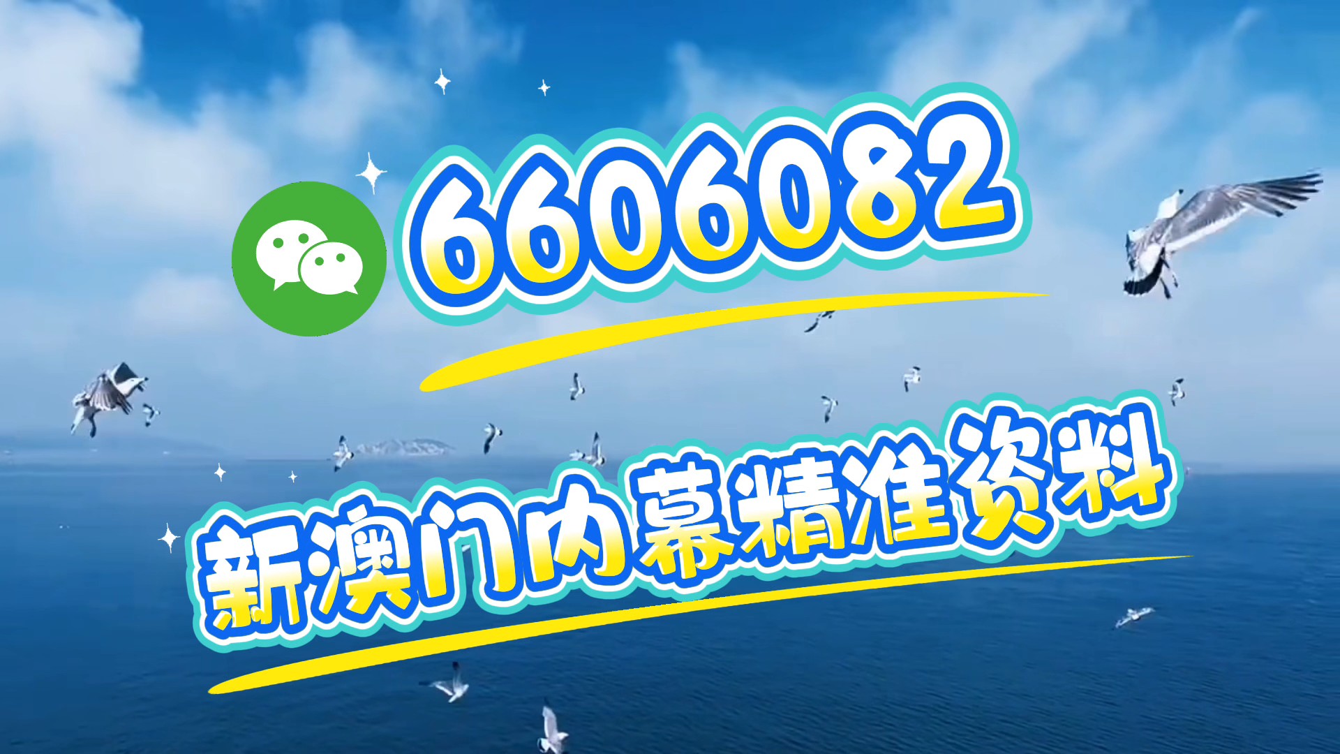 澳門特馬今晚開獎億彩網(wǎng)——最新資訊與預(yù)測分析，澳門特馬今晚開獎億彩網(wǎng)最新資訊與預(yù)測分析概覽