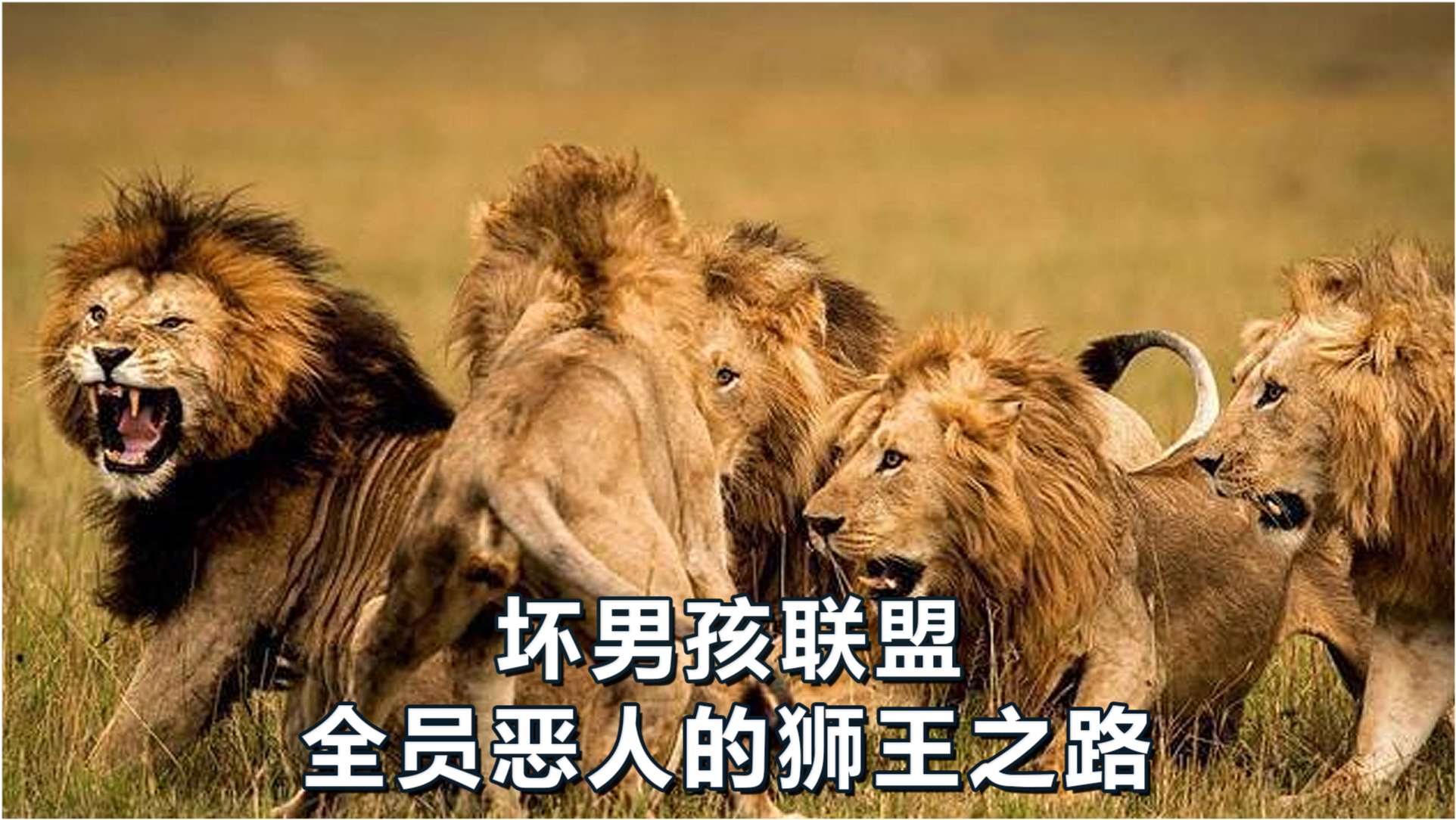 王中王必中一肖四不像圖——深度解析與探索，王中王必中一肖四不像圖深度解析與探索揭秘