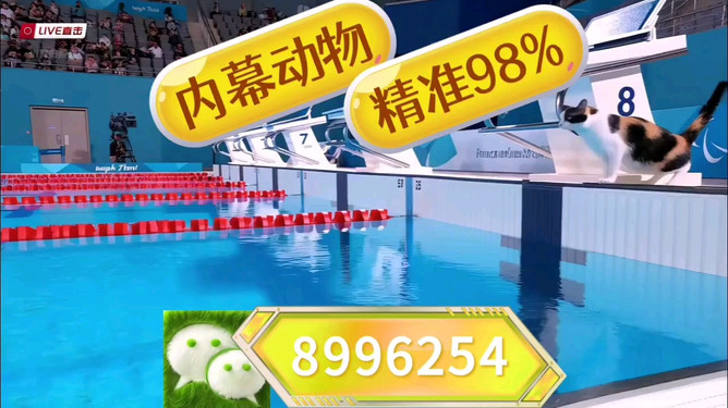 王中王特馬中心一肖囹，探索與解析，王中王特馬中心一肖囹，深度探索與解析