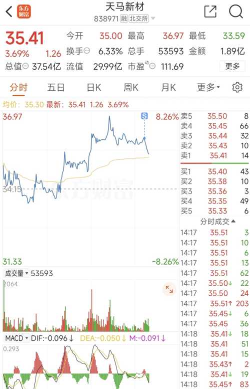 天馬微電子股票，投資前景深度解析，天馬微電子股票投資前景深度解析