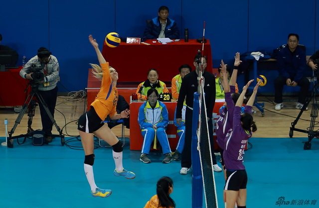 王中王三肖選一肖，深度解析與SEO策略，王中王三肖選一肖，深度解析與SEO策略全攻略