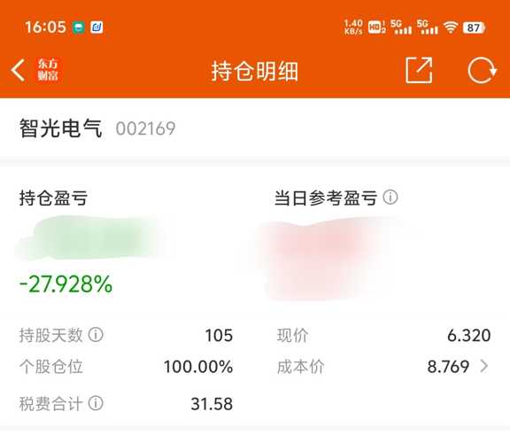 智光電氣股票股吧，深度解析與前景展望，智光電氣股票深度解析及前景展望——股吧熱議話題