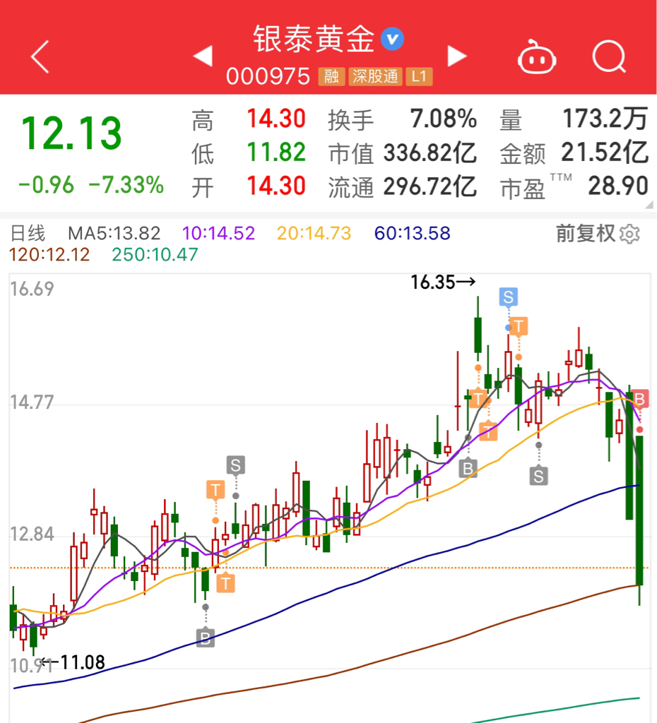 銀泰黃金股票，深度解析與投資前景展望，銀泰黃金股票深度剖析與未來投資前景展望