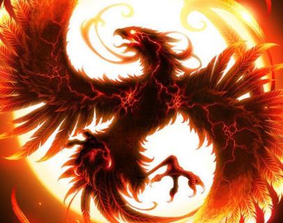 王中王精準一肖中鳳凰，揭秘預測之謎，揭秘王中王精準預測一肖中鳳凰的奧秘