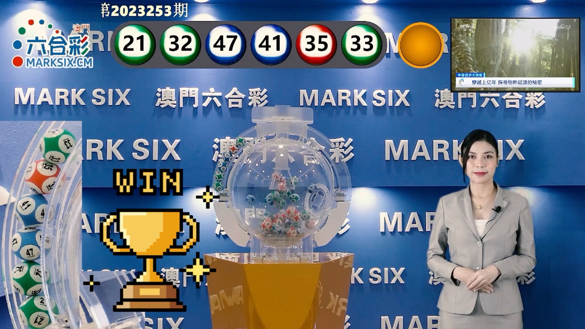 澳門新彩開獎號碼查詢，全面解析與實用指南，澳門新彩開獎號碼查詢解析與實用指南