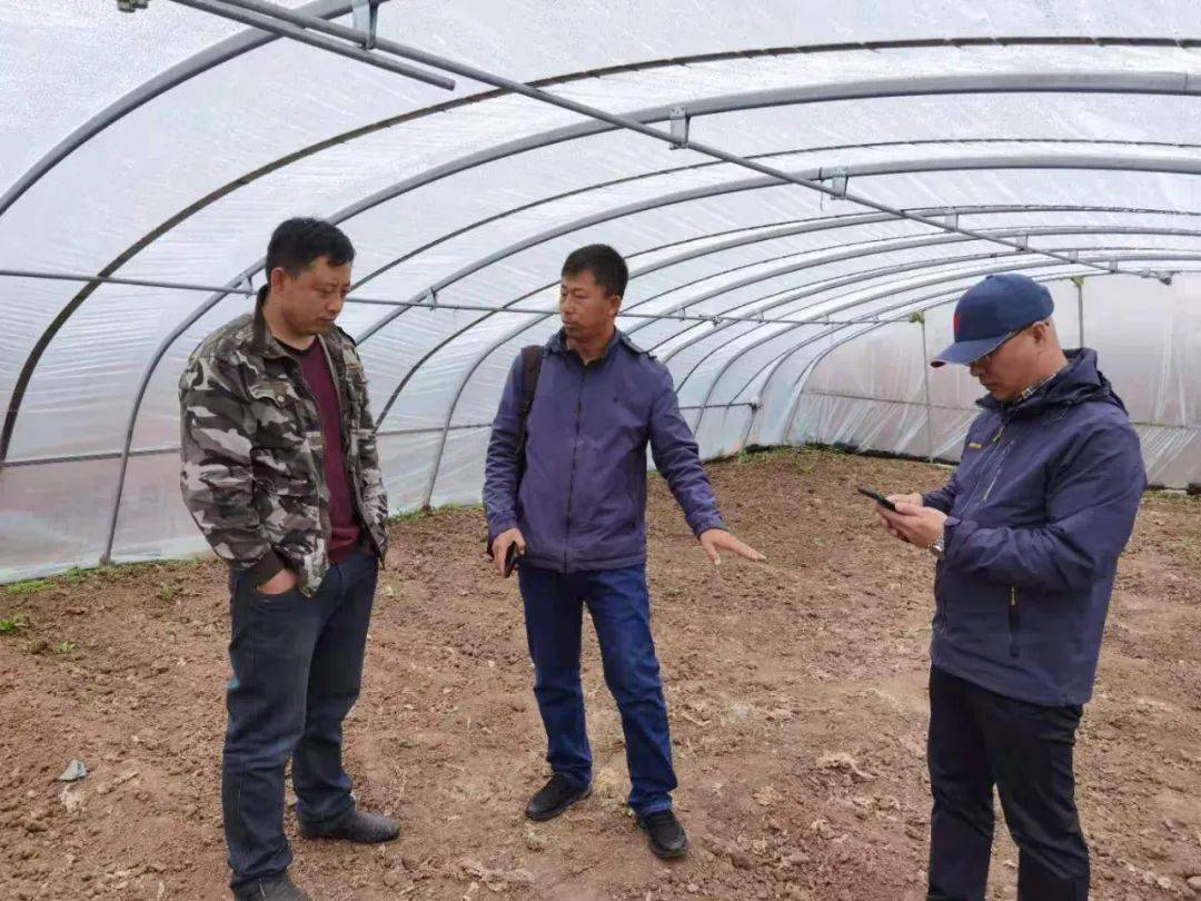 新澳門王中王彩票