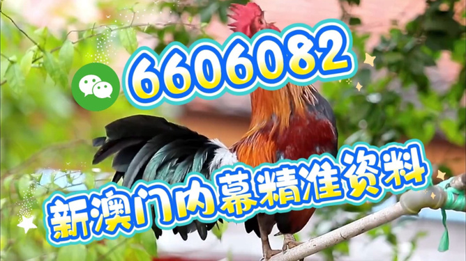 澳門特馬今天開獎結(jié)果，揭秘彩票背后的秘密，澳門特馬今天開獎結(jié)果揭秘，彩票背后的秘密大揭曉