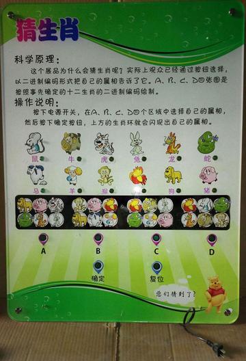 王中王猜一生肖，揭秘生肖文化中的奧秘與趣味，揭秘生肖文化之奧秘趣味，王中王猜一生肖探索之旅