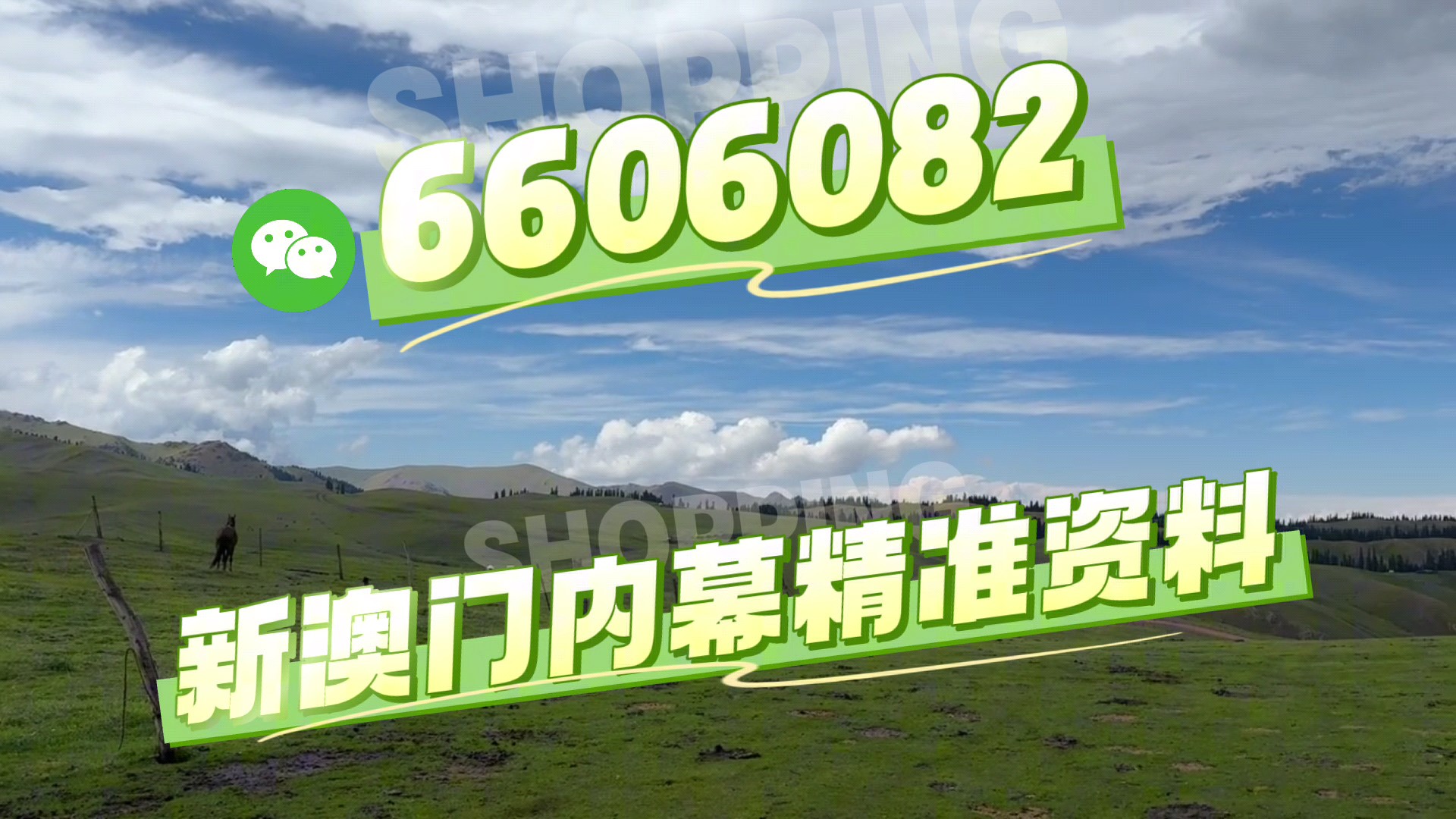 澳門今晚必開一肖一特，揭秘生肖彩票的魅力與策略，澳門生肖彩票揭秘，必開一肖一特的魅力與策略探討