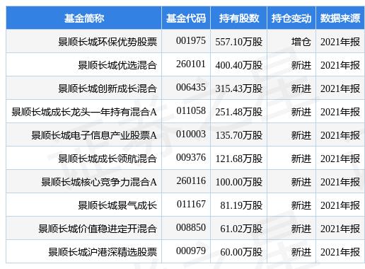 長城集團股票，投資潛力與前景展望，長城集團股票投資潛力與前景展望分析