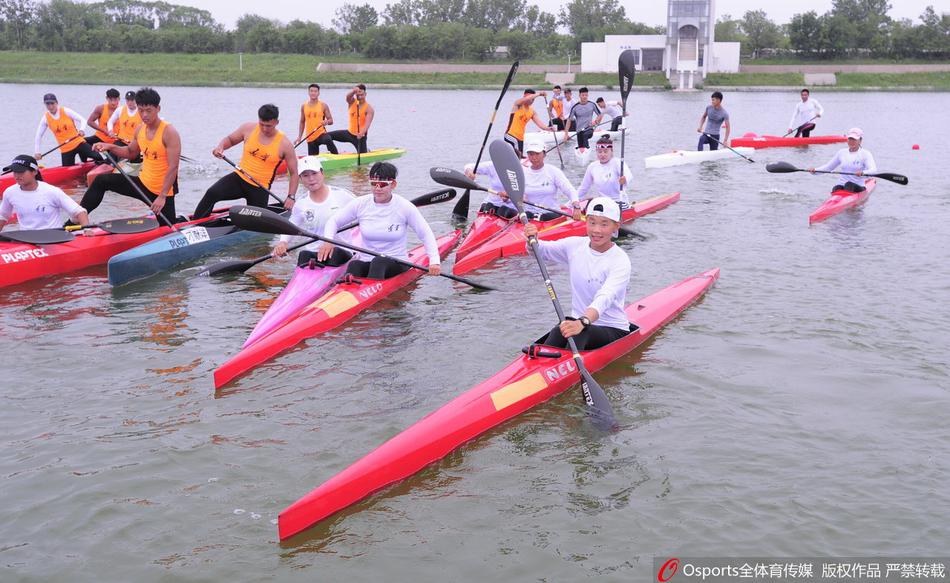 王中王一碼一肖免費(fèi)公開(kāi)，揭秘精準(zhǔn)預(yù)測(cè)的秘密，揭秘王中王一碼一肖精準(zhǔn)預(yù)測(cè)的秘密，免費(fèi)公開(kāi)揭秘！