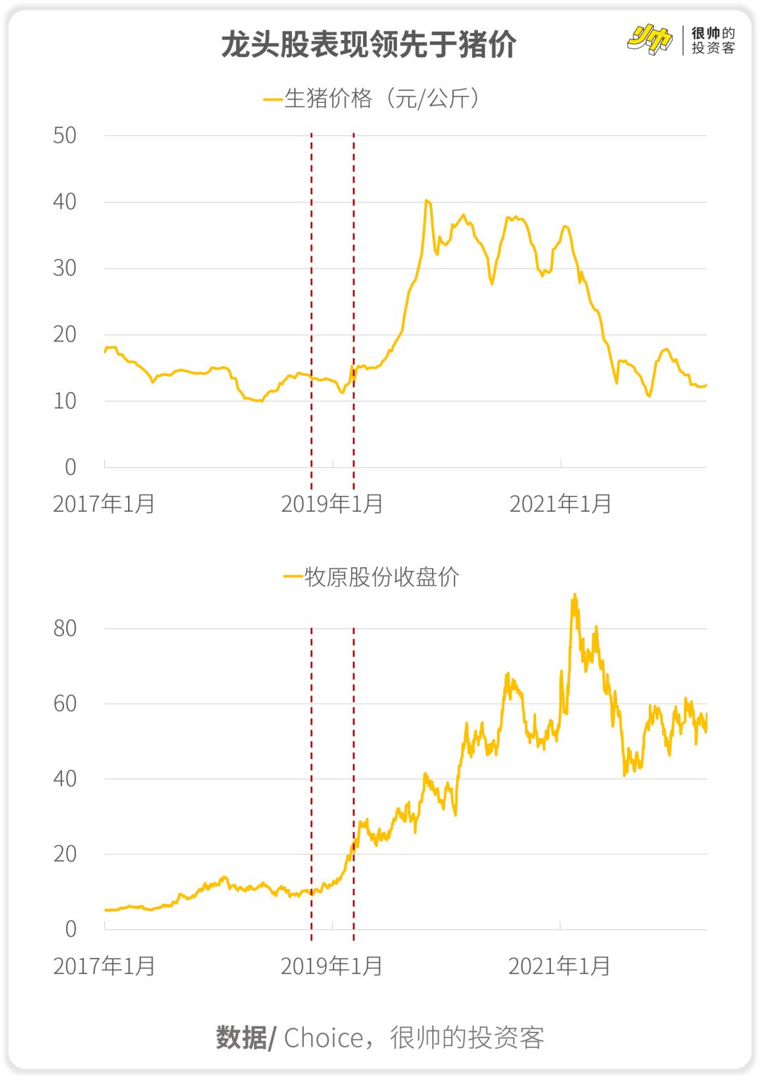牧原股份股票行情深度解析，牧原股份股票行情全面深度解析