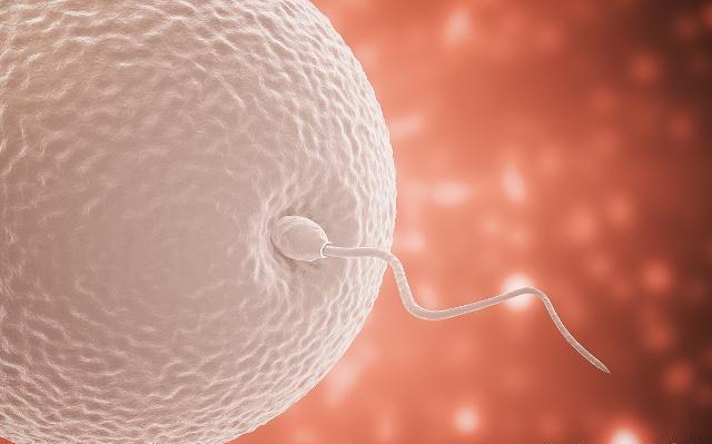 女人受孕最佳時(shí)間，掌握科學(xué)知識(shí)，迎接新生活，女人受孕最佳時(shí)間，科學(xué)指導(dǎo)下的新生活啟程