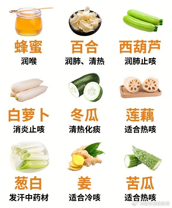 揭秘十大最佳潤肺止咳食物排行榜，守護(hù)您的呼吸健康，揭秘，十大最佳潤肺止咳食物排行榜，呵護(hù)您的呼吸健康之路