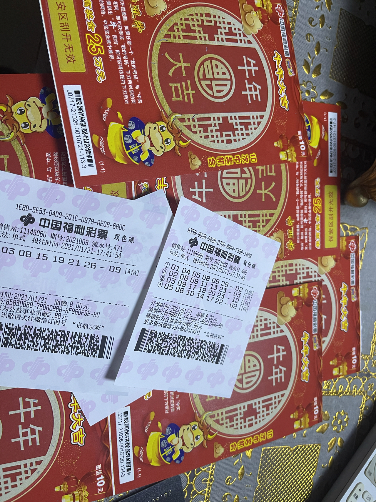 香巷平特一肖王中王，揭秘背后的秘密與SEO策略，揭秘香巷平特一肖王中王的秘密與SEO策略