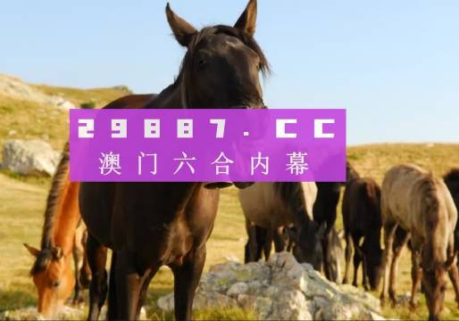 澳門八百圖庫開獎(jiǎng)最快——全面解析與實(shí)用指南，澳門八百圖庫開獎(jiǎng)最快，全面解析與實(shí)用指南手冊