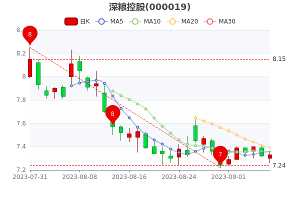 深糧控股股票，投資潛力與市場前景分析，深糧控股股票投資潛力與市場前景深度解析