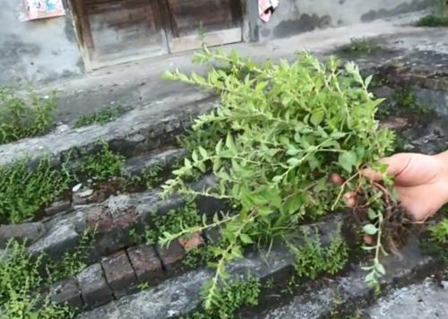 牙疼吃什么藥最管用，全面解析與用藥指南，牙疼用藥解析，最管用的藥物及用藥指南