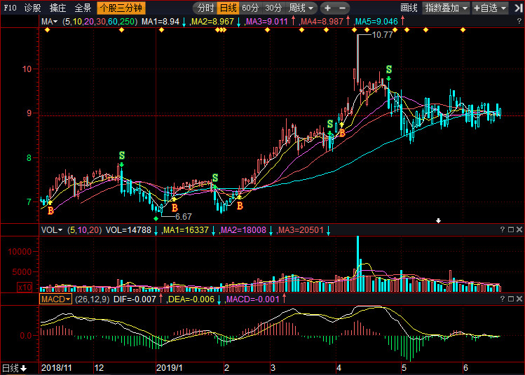 獨特魅力與機遇