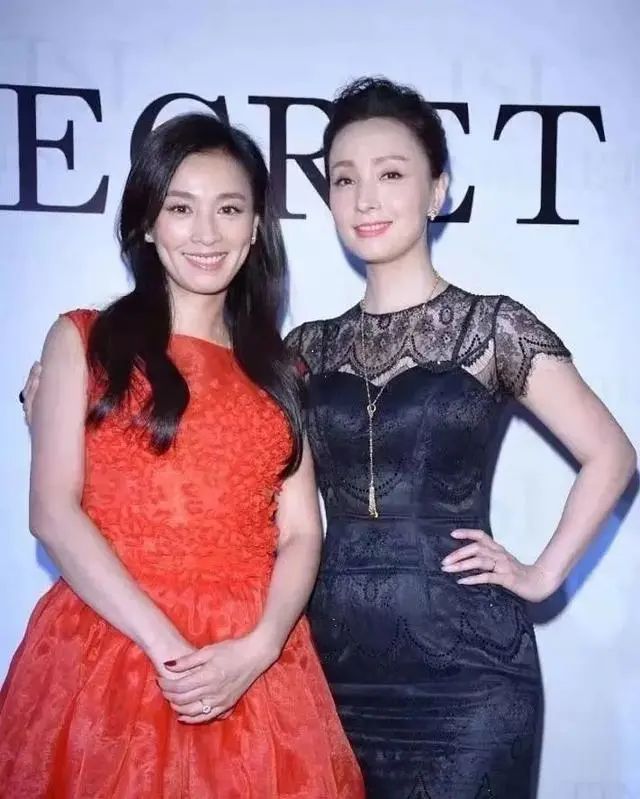 陶虹事件最新消息全面解析，陶虹事件最新動態(tài)全面解讀