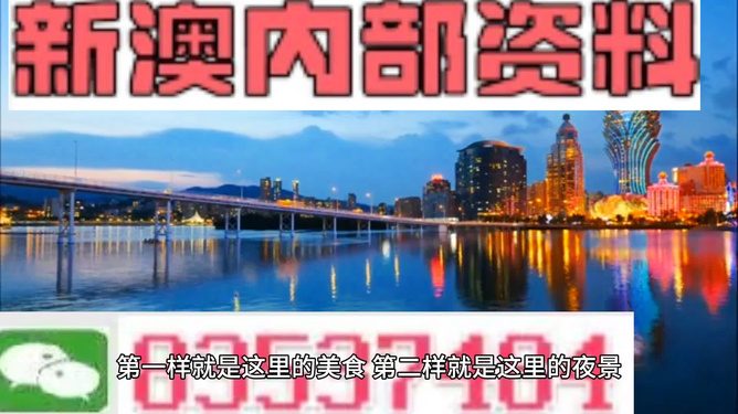 新澳門最精準(zhǔn)正最精準(zhǔn)龍門，探索與揭秘，新澳門最精準(zhǔn)正龍門探索揭秘攻略
